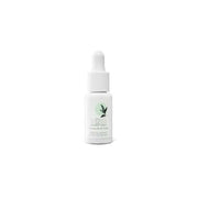 Massada - Green Tea Extract 15ml